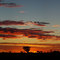 Warrawagine - Dawn