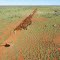 Warrawagine muster