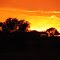 Sunrise over the cattle yards. Warrawagine Station