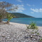 Coral Beach