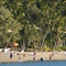 Long Island, Whitsundays,  http://www.whitsundaytourism.com/