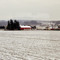 Northern Washington Winter Farm Life