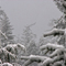 Winterland in Woodway, Washington