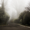 West on Wachusett in Woodway, Washington