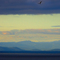 Osprey over Saratoga Passage