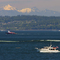 Perilous Puget Sound