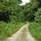 Road from Kikori to Kopi