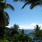 Goodyeargarden, Karkar Island, Papua New Guinea