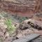 Narrow trail near Muleshoe Canyon