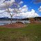 Flooded beach, Hauser Lake, Idaho