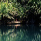 Lake Kutubu - Papua New Guinea