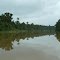 Guavi River