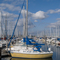 Everett Marina