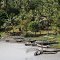 STURT Island Village Outrigger Canoes along the mighty FLY River, in Western Province, PNG, Photo by Malum Nalu, on 5-01-2013