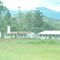 Tari International School