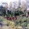 Family site near Tari