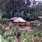 Family dwelling near Tari 1982