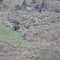 Air photo of several Betianap houses in 1968