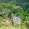 Aziana Mission