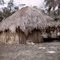 Wasu Villagers' hut  PAPUA NEW GUINEA