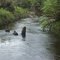 Runim River - Kosipe