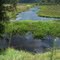 Parts of Ivani River