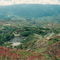 The abandon New Guinea Gold Fields Open cut mine. 24/5/1995