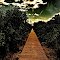 Ocean Walk