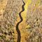 Meandering creek near Holy Hill