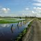 Doornstraat Houtem