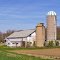 Country Farm