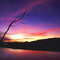 Gila River Twilight