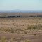 Westbound Freight