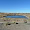 Abondoned Irrigation Pond