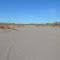 Gila River