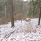 backyard in winter