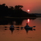 Buffalo Lake