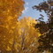 Montello Park in Fall Season