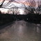 Savannah Avenue