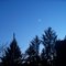 Green Tree Dusk