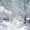 Academy Avenue in blizzard