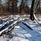 Germania Marsh State Wildlife Area