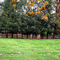 Jefferson Memorial Park 2