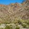 Maricopa Mountains. Sonoran Desert Nat'l Monument