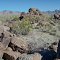 North Maricopa Mountains Wilderness in vicinity of Margie Cove Trail