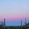 Looking west at dawn in Sonoran Desert National Monument, Arizona