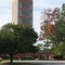 Johnson's Wax Building, Racine, Wisconsin