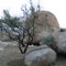 Lime Peak