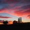 Sunset in Willcox