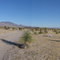 Willcox Cemetery